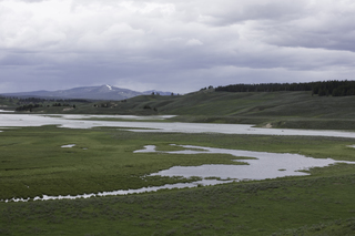 Filename=DSC_1934.jpg
Filesize=20275KiB
Dimensions=7360x4912
Date added=Sep 21, 2019 DSC_1934.jpg