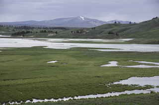 Filename=DSC_1940.jpg
Filesize=19087KiB
Dimensions=7360x4912
Date added=Sep 21, 2019 DSC_1940.jpg