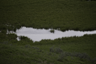 Filename=DSC_1941.jpg
Filesize=18949KiB
Dimensions=7360x4912
Date added=Sep 21, 2019 DSC_1941.jpg