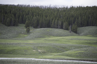 Filename=DSC_1945.jpg
Filesize=22070KiB
Dimensions=7360x4912
Date added=Sep 21, 2019 DSC_1945.jpg