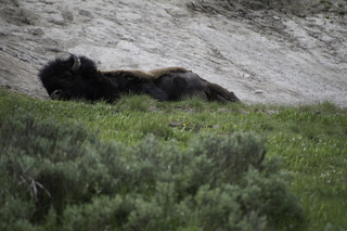 Filename=DSC_1963.jpg
Filesize=17302KiB
Dimensions=7360x4912
Date added=Sep 21, 2019 DSC_1963.jpg