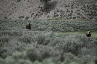 Filename=DSC_1973.jpg
Filesize=18686KiB
Dimensions=7360x4912
Date added=Sep 21, 2019 DSC_1973.jpg