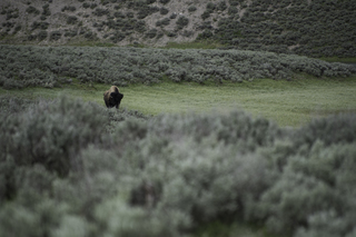 Filename=DSC_1974.jpg
Filesize=17402KiB
Dimensions=7360x4912
Date added=Sep 21, 2019 DSC_1974.jpg