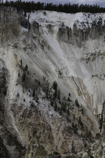 Filename=DSC_1976.jpg
Filesize=23569KiB
Dimensions=4912x7360
Date added=Sep 21, 2019 DSC_1976.jpg