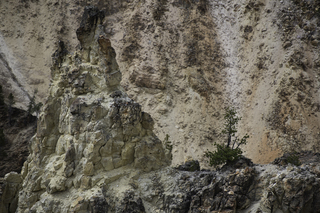 Filename=DSC_1978.jpg
Filesize=21880KiB
Dimensions=7360x4912
Date added=Sep 21, 2019 DSC_1978.jpg