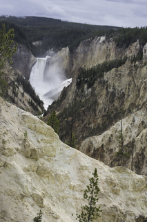 Filename=DSC_1985.jpg
Filesize=24588KiB
Dimensions=4912x7360
Date added=Sep 21, 2019 DSC_1985.jpg