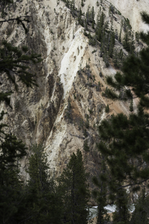 Filename=DSC_2003.jpg
Filesize=23136KiB
Dimensions=4912x7360
Date added=Sep 21, 2019 DSC_2003.jpg