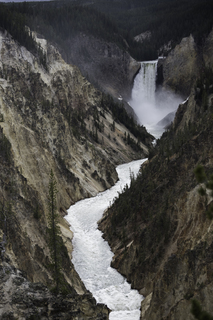 Filename=DSC_2019.jpg
Filesize=23876KiB
Dimensions=4912x7360
Date added=Sep 21, 2019 DSC_2019.jpg