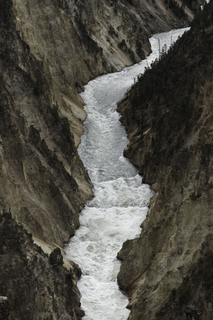 Filename=DSC_2030.jpg
Filesize=23774KiB
Dimensions=4912x7360
Date added=Sep 21, 2019 DSC_2030.jpg