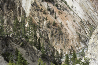 Filename=DSC_2046.jpg
Filesize=26772KiB
Dimensions=7360x4912
Date added=Sep 21, 2019 DSC_2046.jpg