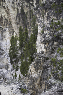 Filename=DSC_2079.jpg
Filesize=23495KiB
Dimensions=4912x7360
Date added=Sep 21, 2019 DSC_2079.jpg