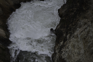 Filename=DSC_2097.jpg
Filesize=17074KiB
Dimensions=7360x4912
Date added=Sep 21, 2019 DSC_2097.jpg