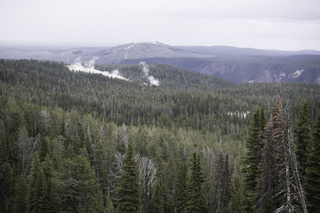 Filename=DSC_2110.jpg
Filesize=20187KiB
Dimensions=7360x4912
Date added=Sep 21, 2019 DSC_2110.jpg