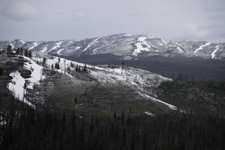 Filename=DSC_2123.jpg
Filesize=19196KiB
Dimensions=7360x4912
Date added=Sep 21, 2019 DSC_2123.jpg