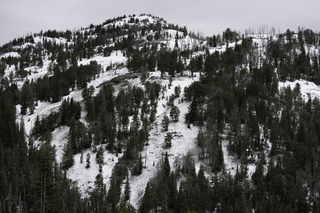 Filename=DSC_2124.jpg
Filesize=22916KiB
Dimensions=7360x4912
Date added=Sep 21, 2019 DSC_2124.jpg