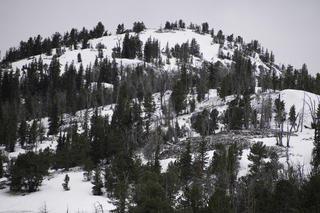 Filename=DSC_2125.jpg
Filesize=23301KiB
Dimensions=7360x4912
Date added=Sep 21, 2019 DSC_2125.jpg