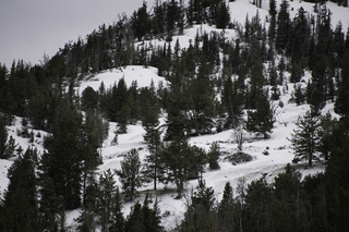 Filename=DSC_2127.jpg
Filesize=21540KiB
Dimensions=7360x4912
Date added=Sep 21, 2019 DSC_2127.jpg