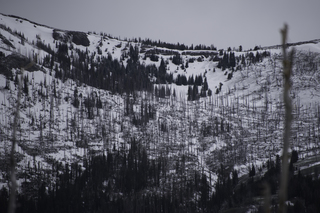 Filename=DSC_2129.jpg
Filesize=20531KiB
Dimensions=7360x4912
Date added=Sep 21, 2019 DSC_2129.jpg