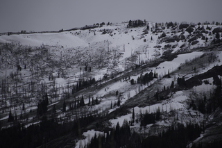 Filename=DSC_2130.jpg
Filesize=18239KiB
Dimensions=7360x4912
Date added=Sep 21, 2019 DSC_2130.jpg