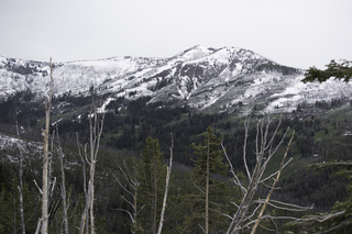 Filename=DSC_2131.jpg
Filesize=16943KiB
Dimensions=7360x4912
Date added=Sep 21, 2019 DSC_2131.jpg