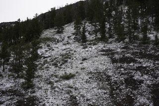 Filename=DSC_2133.jpg
Filesize=23309KiB
Dimensions=7360x4912
Date added=Sep 21, 2019 DSC_2133.jpg