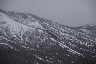 Filename=DSC_2151.jpg
Filesize=18830KiB
Dimensions=7360x4912
Date added=Sep 21, 2019 DSC_2151.jpg