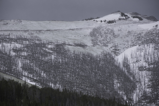 Filename=DSC_2154.jpg
Filesize=22045KiB
Dimensions=7360x4912
Date added=Sep 21, 2019 DSC_2154.jpg