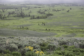 Filename=DSC_2155.jpg
Filesize=20906KiB
Dimensions=7360x4912
Date added=Sep 21, 2019 DSC_2155.jpg