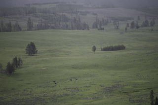 Filename=DSC_2156.jpg
Filesize=19495KiB
Dimensions=7360x4912
Date added=Sep 21, 2019 DSC_2156.jpg