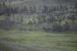 Filename=DSC_2159.jpg
Filesize=22419KiB
Dimensions=7360x4912
Date added=Sep 21, 2019 DSC_2159.jpg