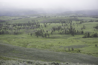 Filename=DSC_2160.jpg
Filesize=17544KiB
Dimensions=7360x4912
Date added=Sep 21, 2019 DSC_2160.jpg