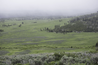 Filename=DSC_2161.jpg
Filesize=17987KiB
Dimensions=7360x4912
Date added=Sep 21, 2019 DSC_2161.jpg