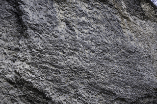 Filename=DSC_2172.jpg
Filesize=25043KiB
Dimensions=7360x4912
Date added=Sep 21, 2019 DSC_2172.jpg