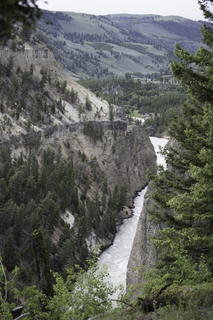 Filename=DSC_2174.jpg
Filesize=22166KiB
Dimensions=4912x7360
Date added=Sep 21, 2019 DSC_2174.jpg