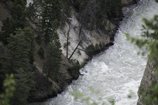 Filename=DSC_2180.jpg
Filesize=22226KiB
Dimensions=7360x4912
Date added=Sep 21, 2019 DSC_2180.jpg