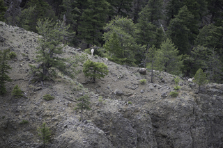 Filename=DSC_2185.jpg
Filesize=25611KiB
Dimensions=7360x4912
Date added=Sep 21, 2019 DSC_2185.jpg