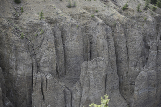 Filename=DSC_2192.jpg
Filesize=23493KiB
Dimensions=7360x4912
Date added=Sep 21, 2019 DSC_2192.jpg