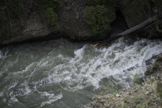 Filename=DSC_2193.jpg
Filesize=19940KiB
Dimensions=7360x4912
Date added=Sep 21, 2019 DSC_2193.jpg