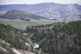 Filename=DSC_2226.jpg
Filesize=21746KiB
Dimensions=7360x4912
Date added=Sep 21, 2019 DSC_2226.jpg