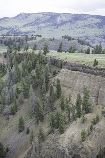 Filename=DSC_2255.jpg
Filesize=23495KiB
Dimensions=4912x7360
Date added=Sep 21, 2019 DSC_2255.jpg