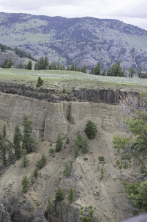 Filename=DSC_2256.jpg
Filesize=22885KiB
Dimensions=4912x7360
Date added=Sep 21, 2019 DSC_2256.jpg