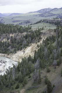 Filename=DSC_2257.jpg
Filesize=22618KiB
Dimensions=4912x7360
Date added=Sep 21, 2019 DSC_2257.jpg