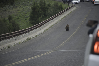 Filename=DSC_2263.jpg
Filesize=17742KiB
Dimensions=7360x4912
Date added=Sep 21, 2019 DSC_2263.jpg