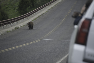 Filename=DSC_2265.jpg
Filesize=17355KiB
Dimensions=7360x4912
Date added=Sep 21, 2019 DSC_2265.jpg