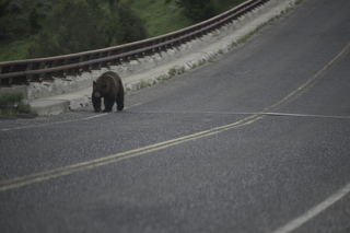 Filename=DSC_2267.jpg
Filesize=17613KiB
Dimensions=7360x4912
Date added=Sep 21, 2019 DSC_2267.jpg