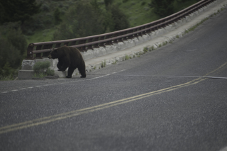 Filename=DSC_2268.jpg
Filesize=17331KiB
Dimensions=7360x4912
Date added=Sep 21, 2019 DSC_2268.jpg