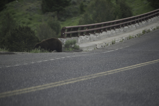 Filename=DSC_2270.jpg
Filesize=17204KiB
Dimensions=7360x4912
Date added=Sep 21, 2019 DSC_2270.jpg