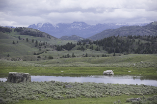 Filename=DSC_2275.jpg
Filesize=18923KiB
Dimensions=7360x4912
Date added=Sep 21, 2019 DSC_2275.jpg