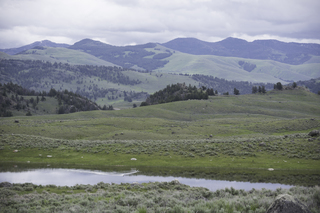 Filename=DSC_2276.jpg
Filesize=18826KiB
Dimensions=7360x4912
Date added=Sep 21, 2019 DSC_2276.jpg