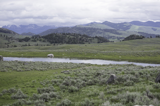 Filename=DSC_2279.jpg
Filesize=18631KiB
Dimensions=7360x4912
Date added=Sep 21, 2019 DSC_2279.jpg